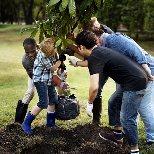 group of people planting a tree together